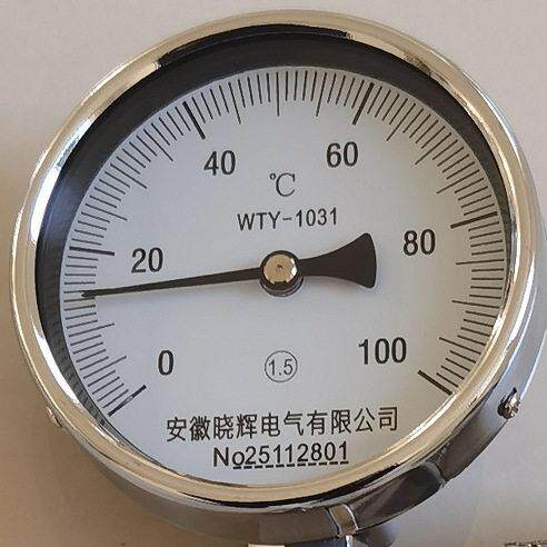 WTY-1031双金属温度PT100热电阻远传信号温度0~100℃
