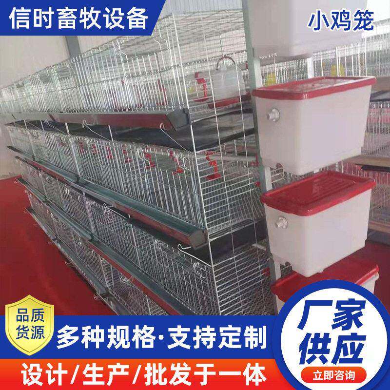 育雏笼养殖场家用育雏笼可装清粪带四层两门鸡鸭苗多层养殖雏鸡笼