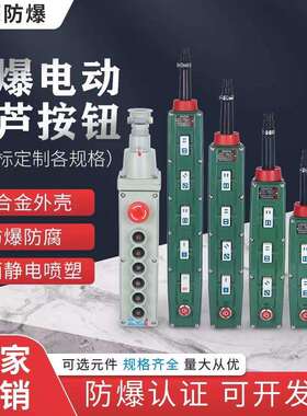 防爆电动葫芦手柄开关BA21BA31BA41行车操作防爆控制按钮