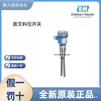 FTL31-AA4U3AAWBJ 恩德斯豪斯E+H 音叉液位开关 原厂正品 顺丰