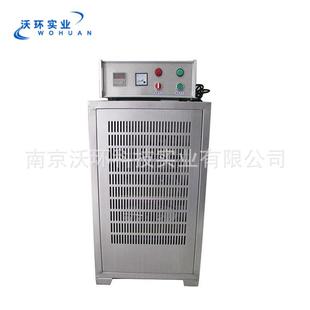 厂家供应内置式 臭氧发生器 臭氧发生器制氧设备80克内置式