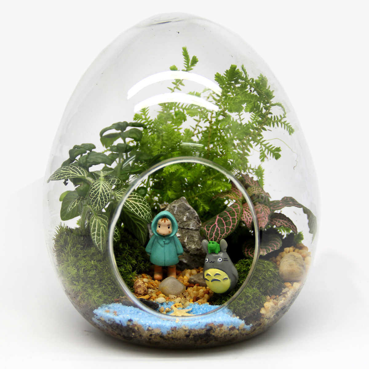 苔藓微景观 创意礼品摆件 绿植 苔藓瓶造景瓶 蛋形瓶植物 小世界