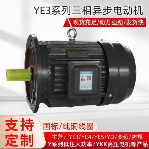 衡水电机厂家定制生产YE3-4极2.2-220W效三相异步电动机
