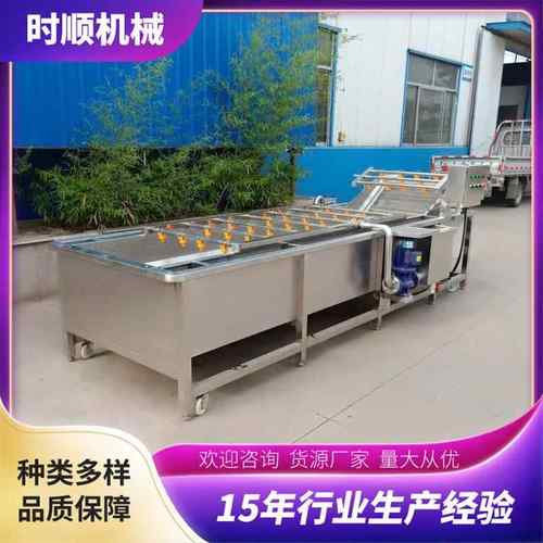 大枣多功能清洗机果蔬气泡清洗机清洗机械芋头气泡清洗机