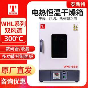 65B 天津泰斯特WHL 30B 45B 125B系列电热恒温干燥箱立式