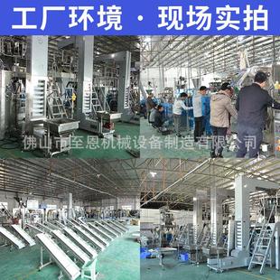 定制袋装小冰块秤重包装机速冻冷冻食品干冰多功能背封颗粒包装机