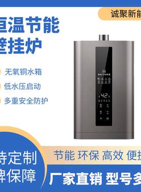 新型壁挂式智能电阻锅炉电锅炉家用采暖炉80v新型取暖炉电热恒温