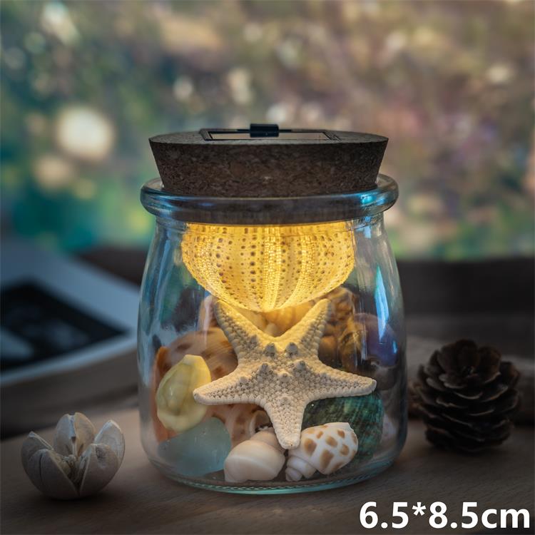 【网红爆款】海胆灯贝壳收纳瓶许愿瓶海螺贝壳创意小夜灯生日礼物