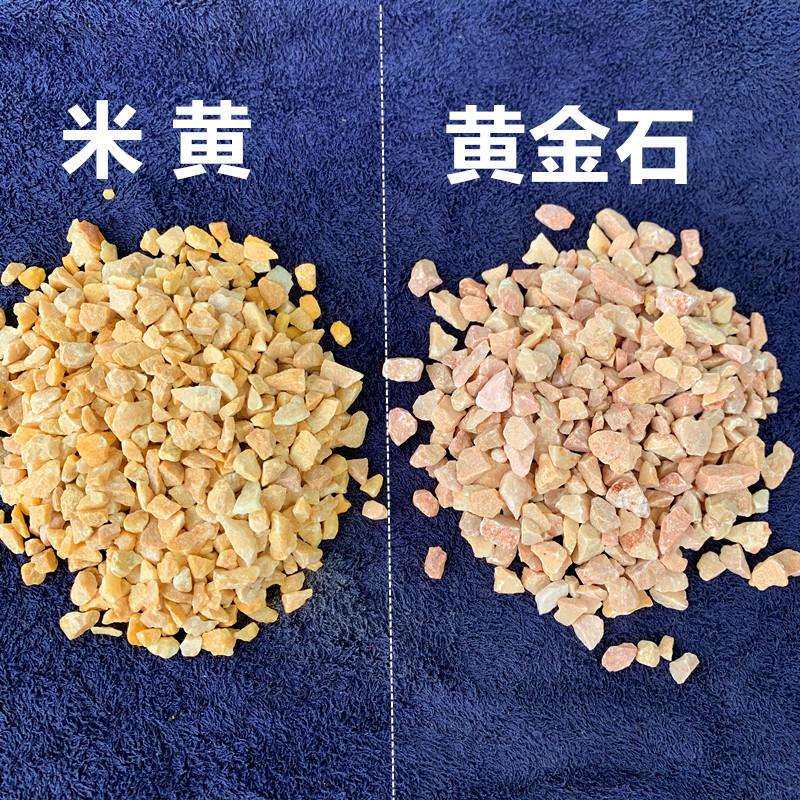 供应米黄卵石黄金石石子透水路面黄色水洗石庭院造景黄石子