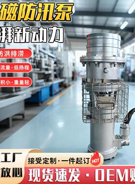 永磁防汛泵便携式大流量抗洪抽水泵鱼塘养殖农用抽水灌溉油浸泵