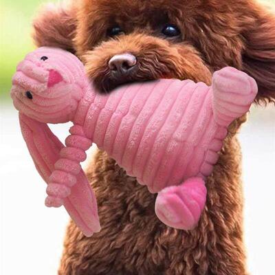Toys for Dogs Squeaky Puppy Play Chew Interactive Dog Toy