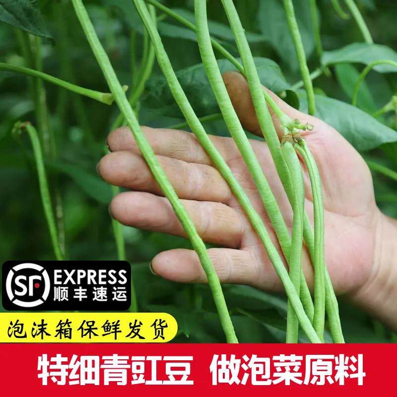 四川细豇豆新鲜青豇豆长豆角泡菜豇豆当季时令农家蔬菜顺丰包邮