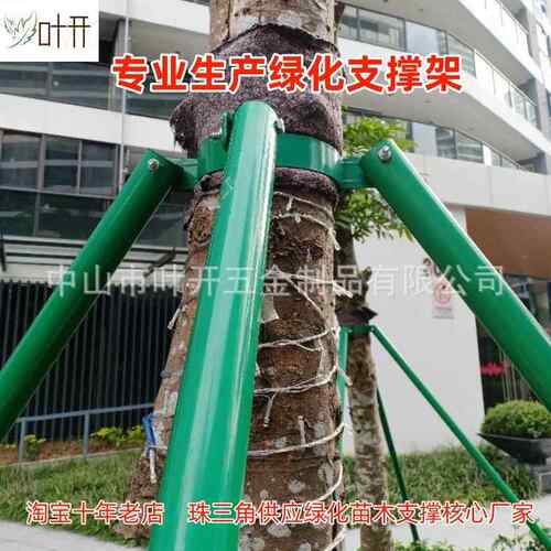 镀锌钢管树木支撑架铁抱箍园林绿化防风苗木支架树木支撑固定器
