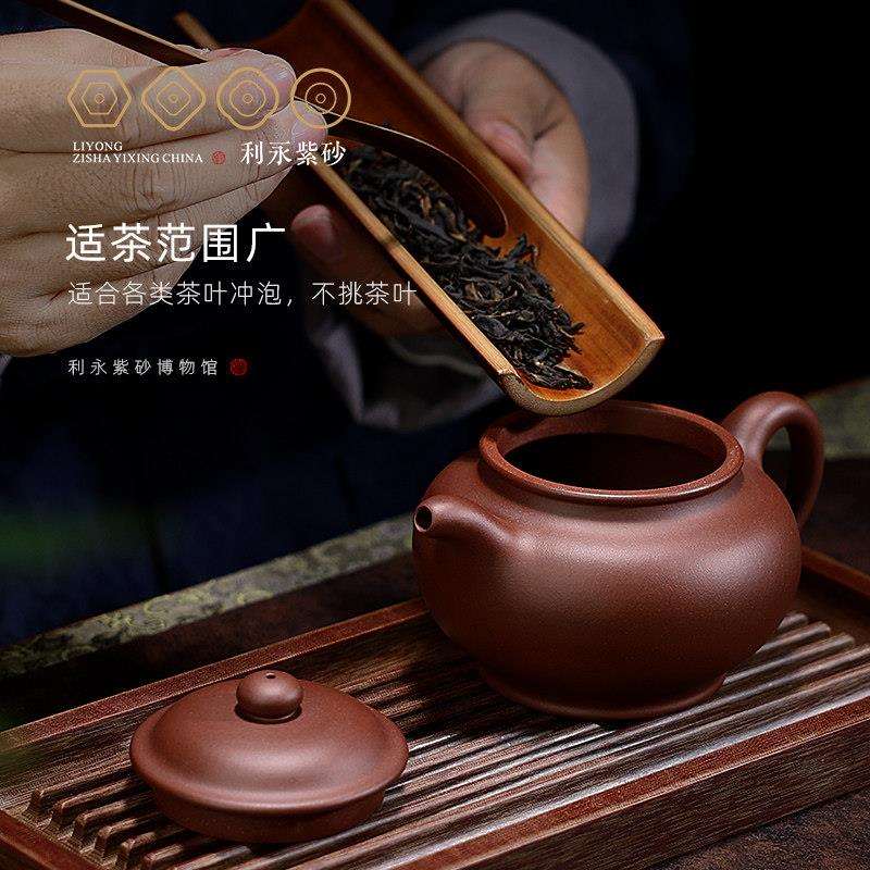 BNLY—DC宜兴原矿砂壶纯全手工大容量泡茶茶壶功夫紫掇具底槽青祇