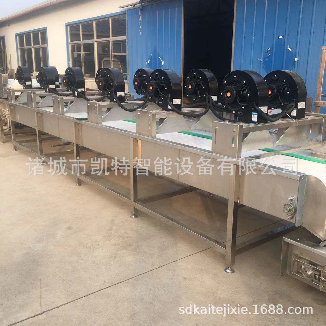 软包装翻转式风干机蔬菜风干机水果表面水吹干机不锈钢材质