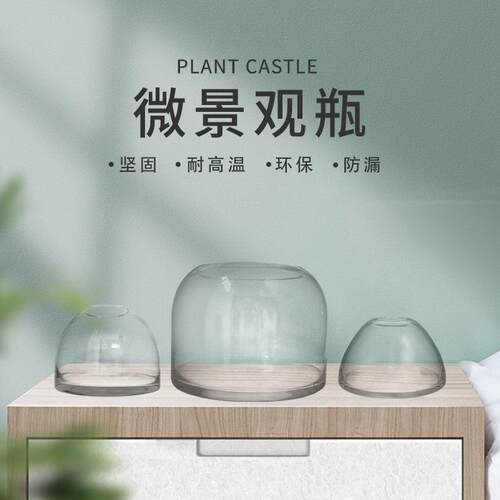 厂家直销苔藓微景观玻璃瓶闷养瓶盆容器花盆微景缸插花空瓶微观植