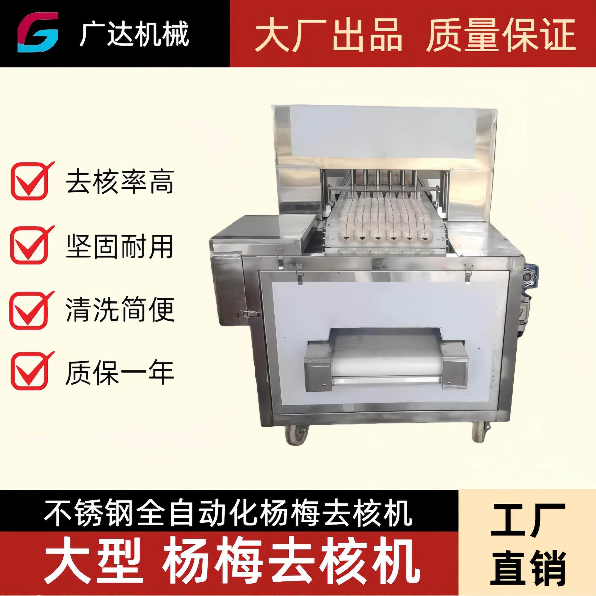 全自动水果脱核机杨梅去核机不锈钢机械设备可用于龙眼钙果