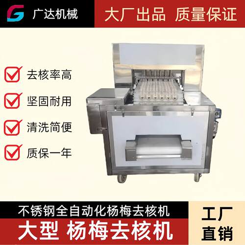 全自动水果脱核机 杨梅去核机 不锈钢机械设备可用于龙眼 钙果