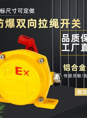防爆双向拉绳开关WSK-K21/J-L XLLS-D XLLS-II YHL-II YHPLS-II