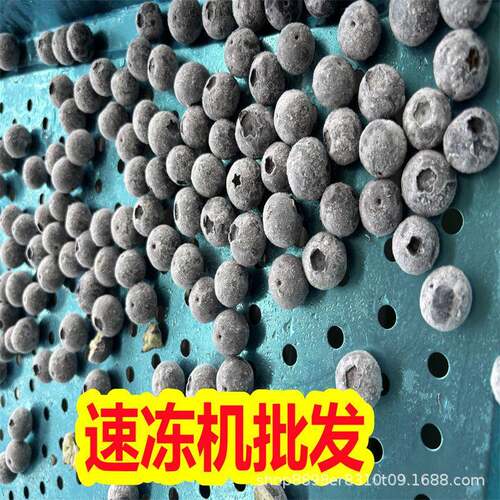 源桦方水饺速冻机 蓝莓冷冻加工设备 鸡腿冷冻机