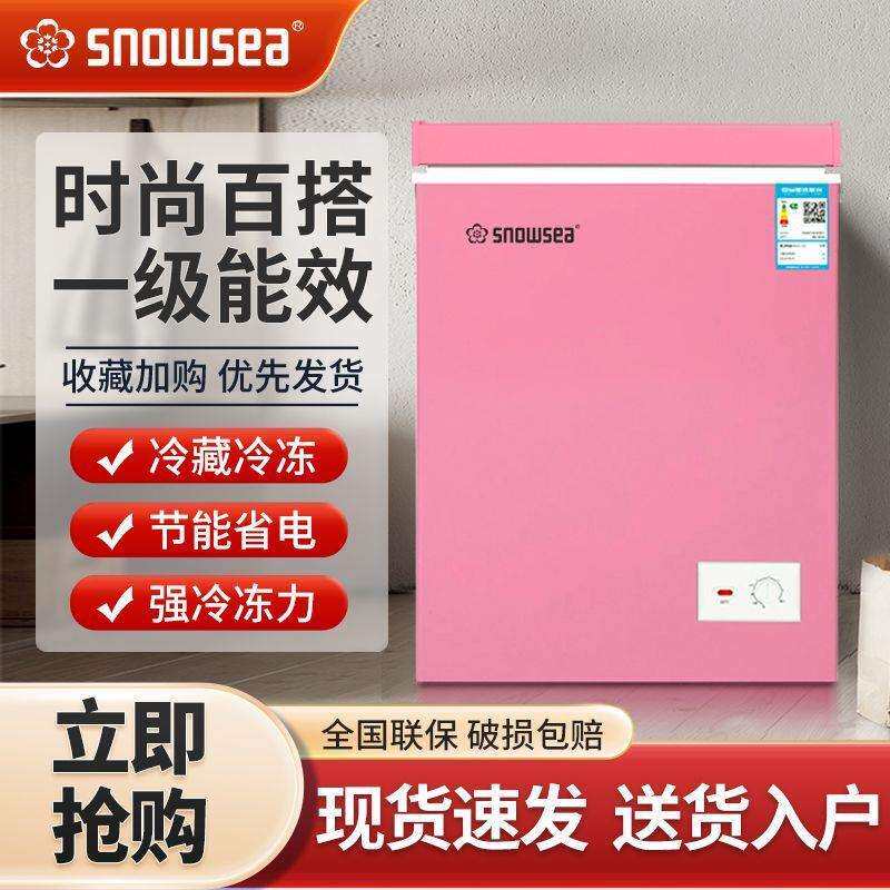 香雪海迷你小冰柜家用小型冷柜冷冻冷藏立式两用出租房宿舍大容量