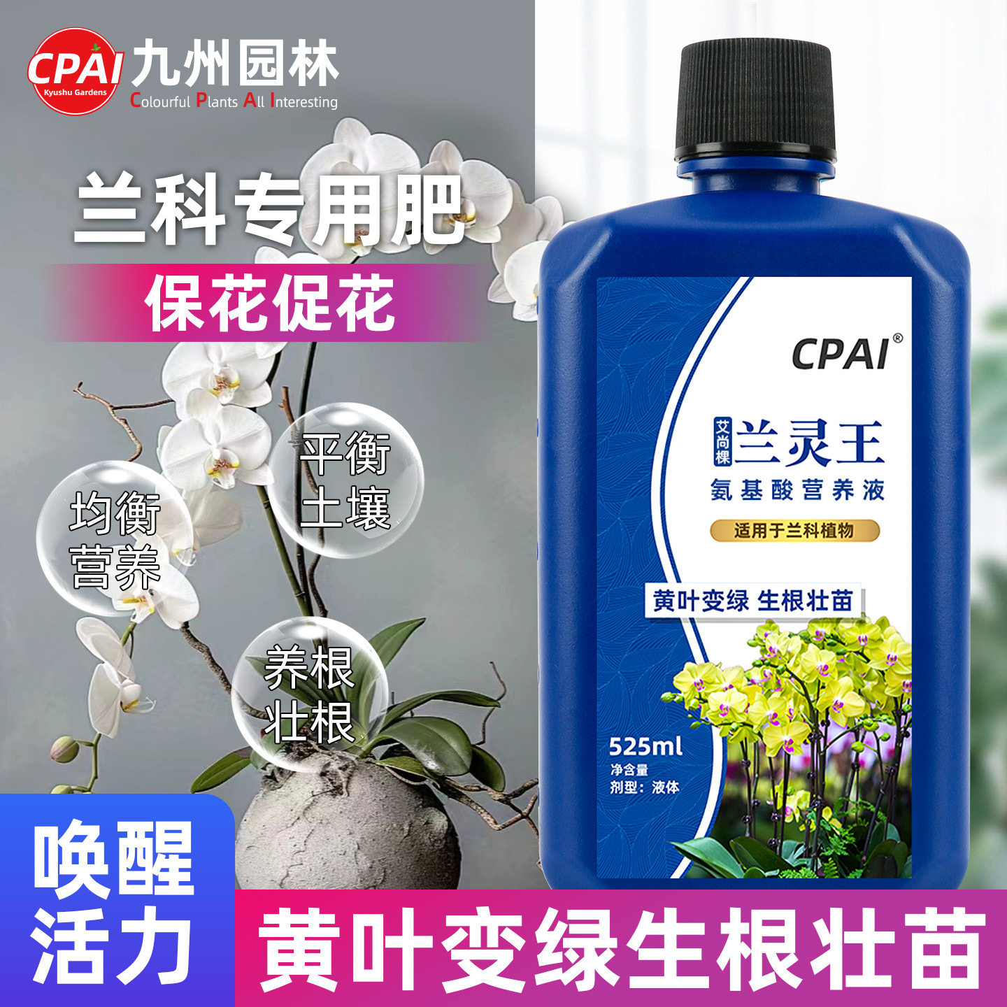 蝴蝶兰微生物君子兰厂家生物菌肥