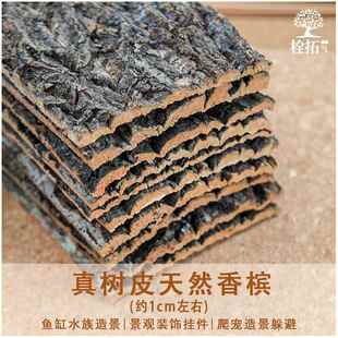 软木树皮香槟树真树皮爬宠鱼缸造景水族装饰贴摄影背板墙面树皮