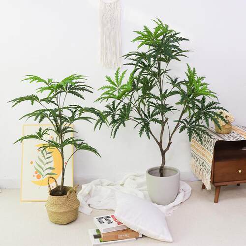 仿真孔雀木北欧风盆栽客厅假植物落地盆栽摆件仿真绿植仿真千年木