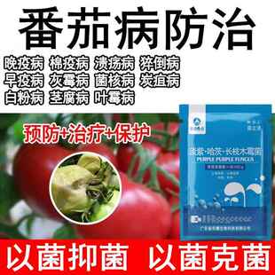 西红柿防病药脐腐病专用药杀菌剂治番茄卷叶病晚疫病黄叶病黑杆病