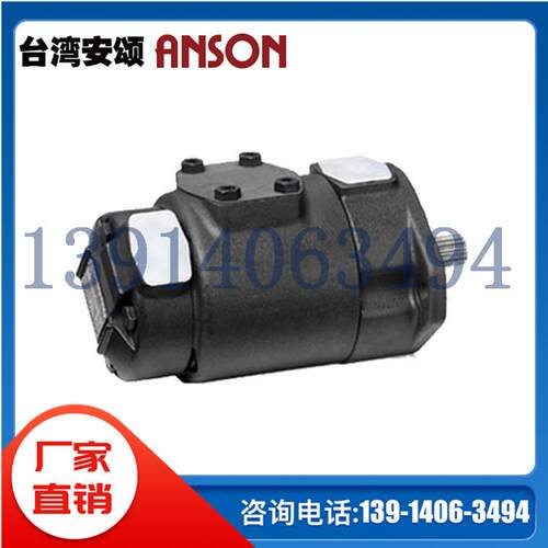 IVP42-60-14/15/17/21/25-F-R-1/86AA/BB/CC/DD-10台湾ANSON安颂