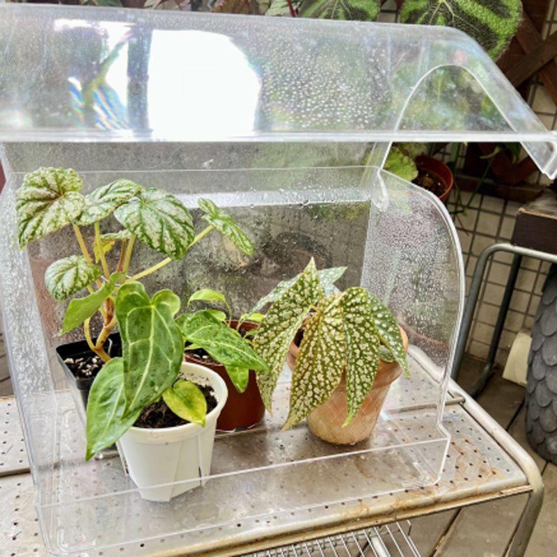 热种植箱闷热植物闷热箱热带绿色植物育苗箱插花育苗盘保湿温室