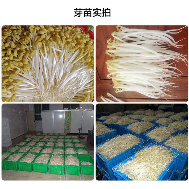 商用豆芽机芽苗机智能全自动豆芽花生芽黄豆芽生产菜市场工厂创业,清洗/食品/商业设备,豆腐机,淘宝优惠券,粉丝福利购,淘宝优惠卷