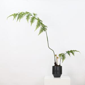 中式现代造景禅意仿真金丝猴蕨绿植盆景样板房书房茶室玄关柜摆件