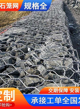 镀锌防洪石笼网箱生态格宾铅丝防洪六角网PVC包塑固滨笼雷诺护垫