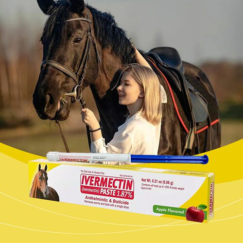 Apple-flavored Horse Paste Gentle plant-based ingredients, n