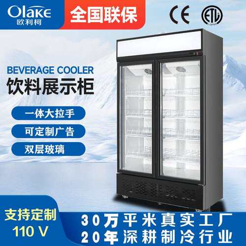 双三门商用饮料柜立式冰柜饮料啤酒冷藏保鲜柜酒吧超市展示柜
