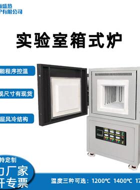 马弗炉高温箱式电阻炉实验室电炉上海盛热厂智能程序控温烧结电炉