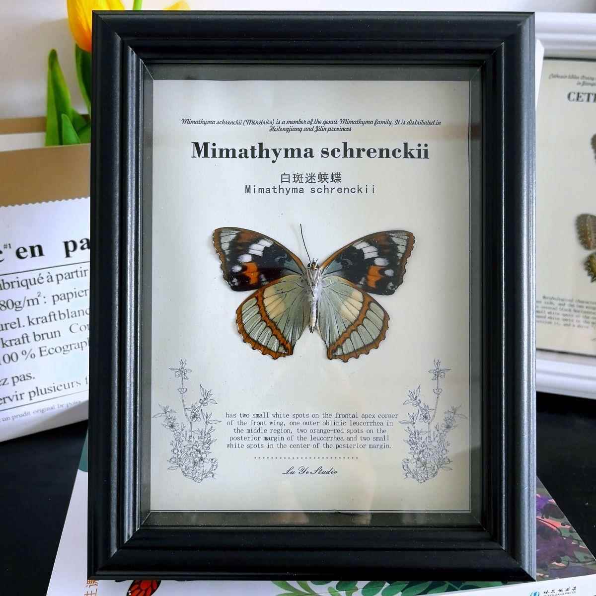 欧式手工黑色相框中空标本框立体干花蝴蝶装饰画框装裱办公室摆台图片
