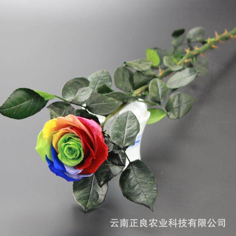 新款直销永生花花束成品高级感情玫瑰花情人节礼物单只摆摊热销礼