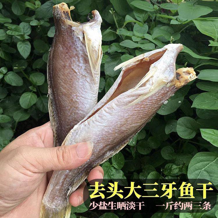 淡口去头三牙鱼干 干三齿鱼渔民生晒咸鱼干 干台山渔家广海特产海