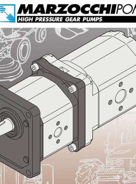 A0.5D0.75+P0.5D0.75双联齿轮泵MARZOCCHI马祖奇全新原装