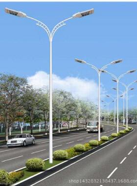 厂家直销6米双臂40WLED路灯 精品LED路灯道路灯 户外灯