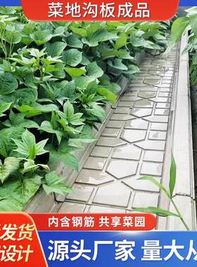 田园菜沟板庭院铺路挡土混凝土砖