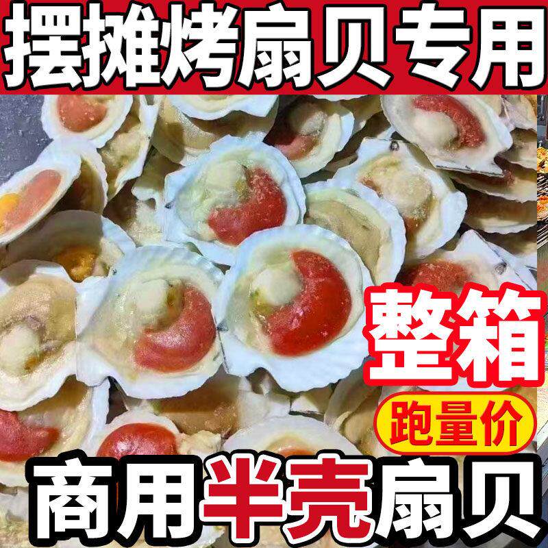 超大半壳冷冻扇贝鲜活夏夷贝新鲜蒜蓉粉丝烧烤海鲜扇贝肉商用包邮