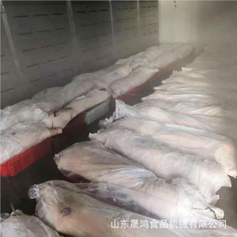 晟设鸿猪白822条解冻机禽肉类低温高解湿冻设备 冻肉 缓化备