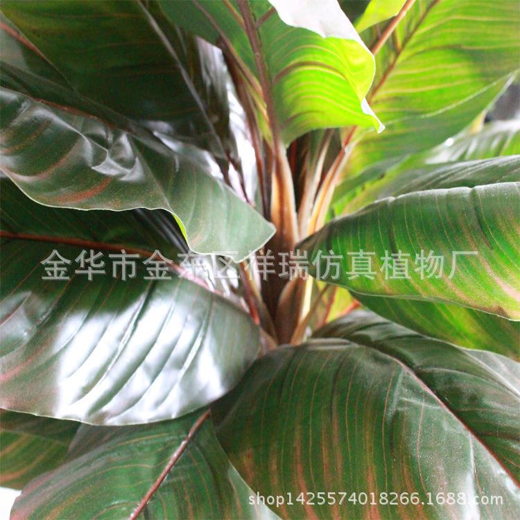 仿真植物假树叶美人蕉叶树非洲象腿蕉叶落地盆景客厅厂家