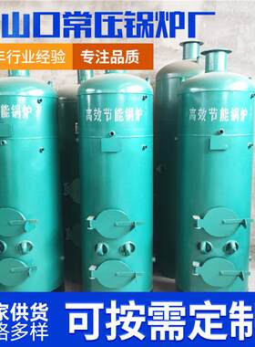 立式燃煤锅炉热水家用小型立式常压锅炉大棚蔬菜供暖热水燃煤锅炉