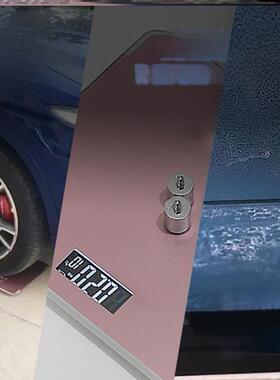 180KGS新型电子衡器