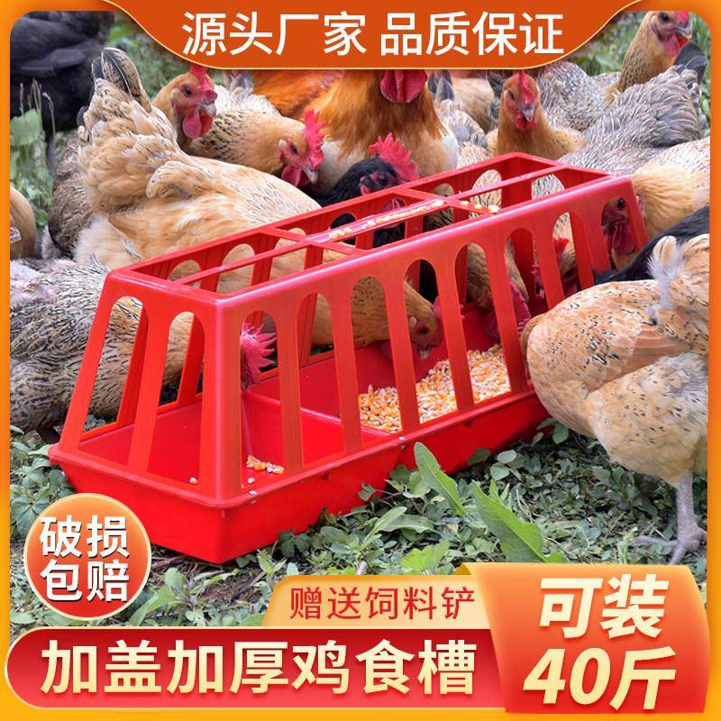 鸡食槽防撒大号长方形喂鸡食槽喂水槽加厚鸡鸭喂食器养殖鸡食槽,畜牧/养殖物资,畜牧/养殖器械,淘宝优惠券,粉丝福利购,淘宝优惠卷