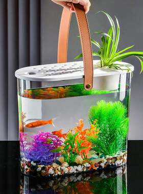 桌面金鱼缸客厅塑料透明摆件小鱼缸水培植物造景水族箱水养观赏鱼